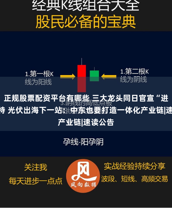 正规股票配资平台有哪些 三大龙头同日官宣“进军”沙特 光伏出海下一站：中东也要打造一体化产业链|速读公告