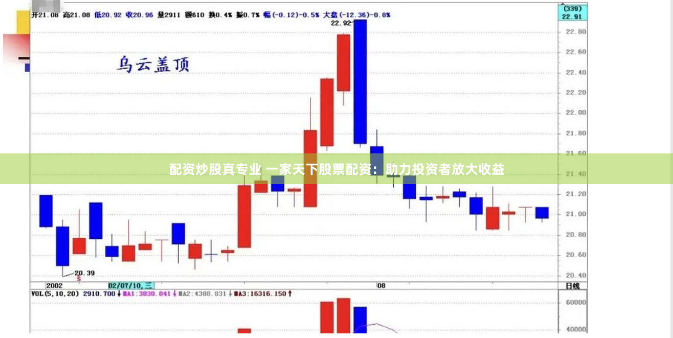 配资炒股真专业 一家天下股票配资：助力投资者放大收益